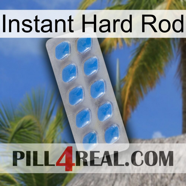 Instant Hard Rod 22.jpg